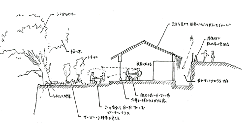 とねりこのイメージ断面図